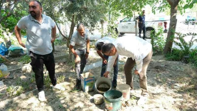 Sivrisinek sebebiyle hastanelere başvurular arttı