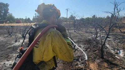 California’da orman yangını: 3 bin 400 hektar alan yandı