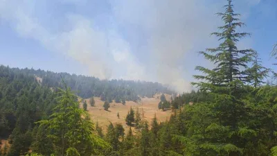 Saimbeyli'de orman yangını