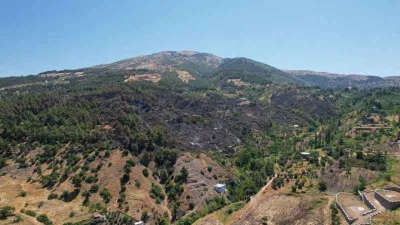 Kahramanmaraş’ta yanan 15 hektar alan dron ile görüntülendi