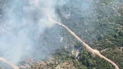 Manisa'da orman yangını