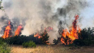 Valilikten sıcak ve yangın uyarısı