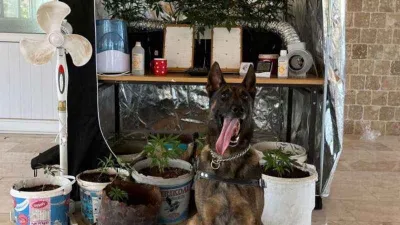 Denizli’de uyuşturucu imalathanesine operasyon