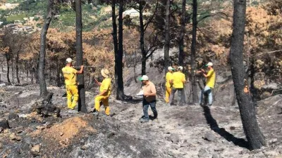 Yanan ormanda hasar tespit çalışmaları başladı