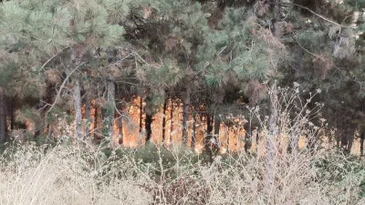 İstanbul’da orman yangını