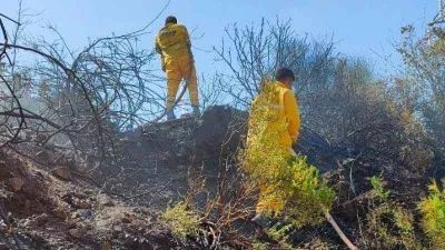 Osmaniye'de orman yangını, büyümeden söndürüldü