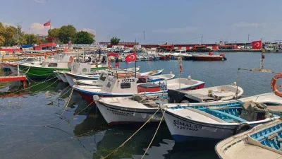 ‘Vira Bismillah’ için son 1 ay