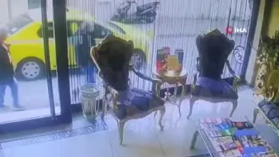 Böcek ailesinin ölümüne ilişkin Adli Tıp Kurumu bilgi notu ortaya çıktı