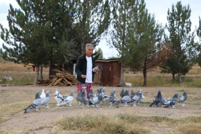 Bu kuşların tanesi 600 bin TL