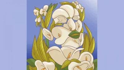 Doğru kararların insanız mısınız yoksa doğasever mi? İlk gördüğünüz resim anlatıyor…