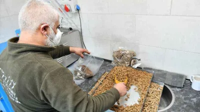 Esenyurt Belediyesi, sokak hayvanları için mama üretiyor