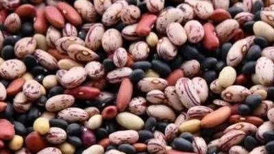 Gözlerinize güveniyor musunuz? Muhteşem algı yeteneği gerekiyor!