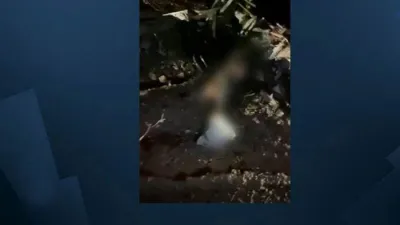 Irak'ta düşen helikopterde PKK'lı teröristler vardı