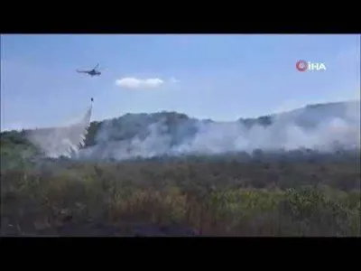 Türkiye - Bulgaristan sınırında çıkan organ yangınına müdahale ediliyor