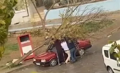 İzmir'de Park Halindeki Otomobilin Üzerine Ağaç Devrildi