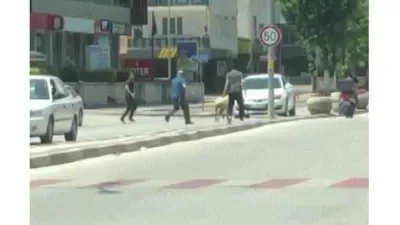 Bursa’da sahibinden kaçan koyun trafiği birbirine kattı