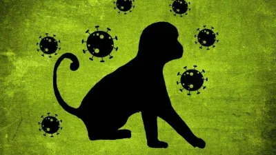 Maymun çiçeği virüsü Güney Kore’de de görüldü!