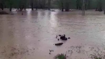 Ordu'da sel sebebiyle eğitime bir gün ara verildi