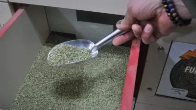 Ramazan'da mide sıkıntılarına rezene çayı