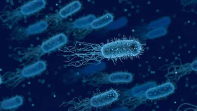 Bağırsakları saat gibi çalıştıran metot. Kayısı yemeye gerek kalmıyor