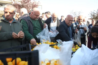 Tonlarca mandalina vatandaşlara ücretsiz dağıtıldı