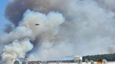 Milas’ta orman yangını