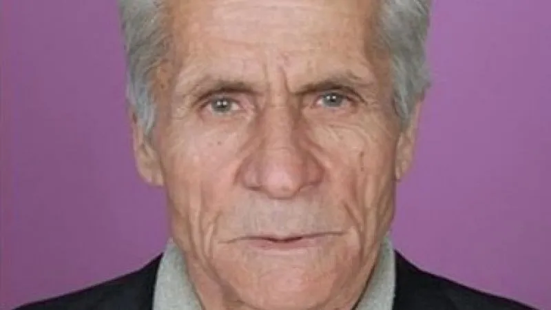 Kestiği ağacın çarptığı Satıbey Kanış hayatını kaybetti