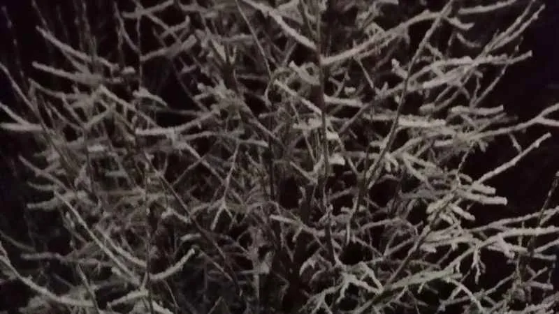 Malatya’da Nisan ayının son gününde kar sürprizi