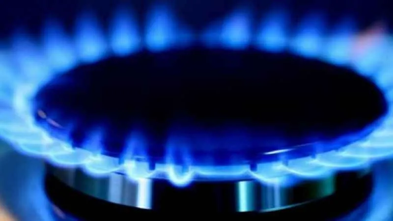 Bedelsiz doğalgaz kullanımı Kasım enflasyonunu 1,1 puan yukarı çekecek