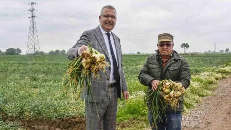 Soğan fiyatı 7 liraya kadar düşecek