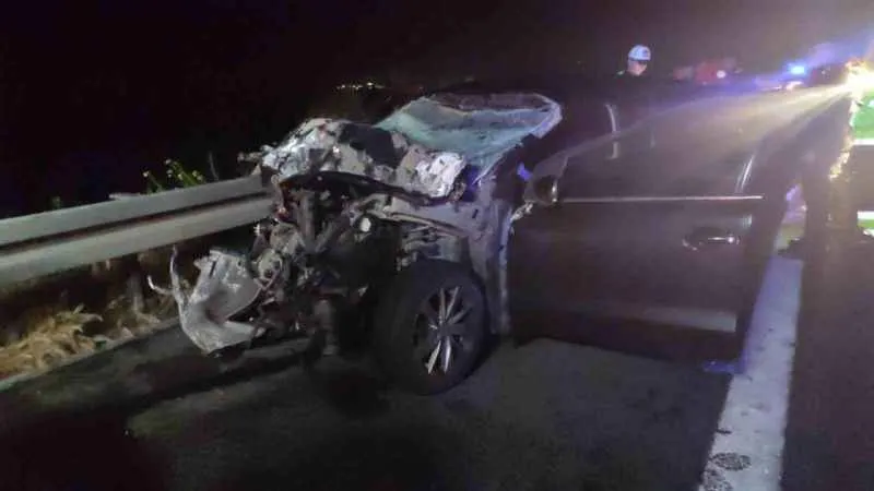 İstanbul İzmir Otoyolundaki kazada Saime Gül hayatını kaybetti 