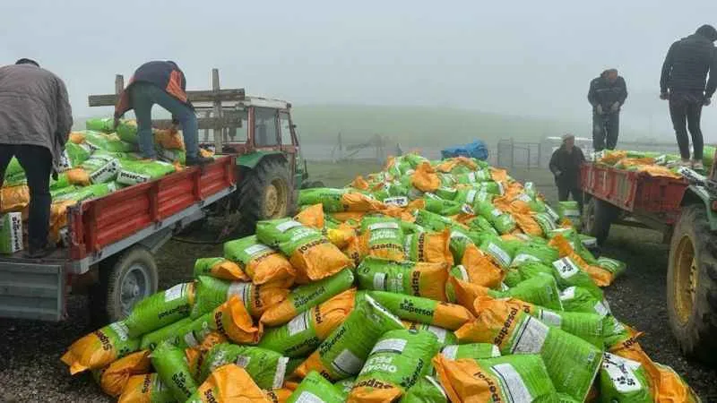 13 bin yıllık ata tohumu toprakla buluşuyor