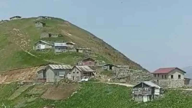 Ayılar yayla evlerini talan etti