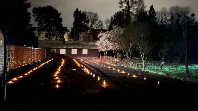 Polonya’da 128 kişilik toplu mezar bulundu