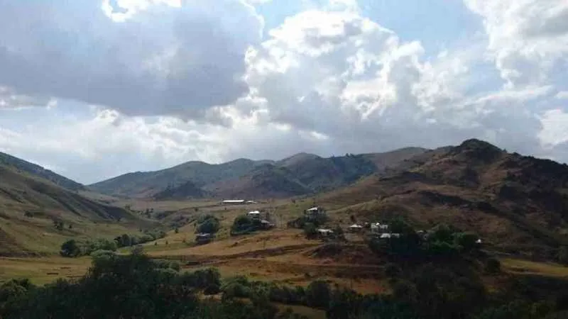 Mantar toplamaya gittiler, kayboldular