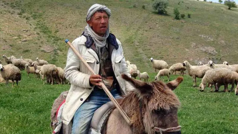 16 bin lira maaşlı işi Türkler beğenmeyince Afganlar yapıyor