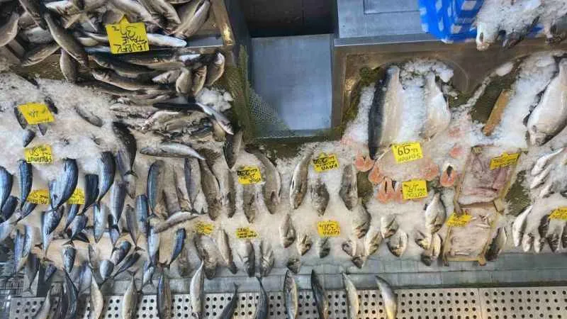 Balık fiyatları düştü, Karadeniz somonu 300 yerine 100 liradan satılıyor