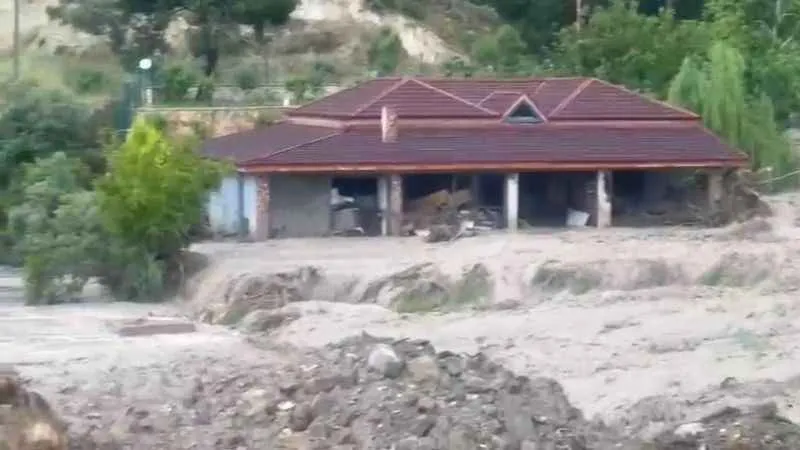 Denizli'de sular ağaçları devirip önüne çıkan restoranı yuttu