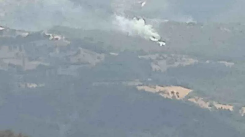 İzmir’de 2 orman yangını yaklaşık 30 dakikada kontrol altına alındı