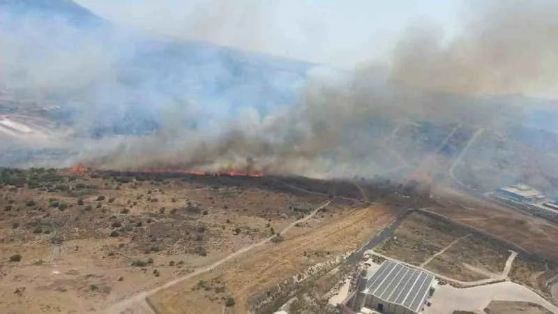 İzmir’de otluk ve makilik yangını kontrol altına alındı