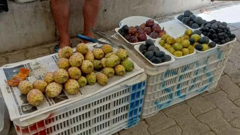 Fethiye’de dikenli incir tanesi 10 liradan satılıyor