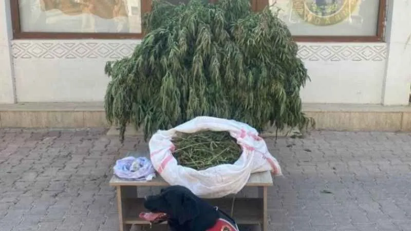 Mardin’de 4 buçuk kilo kubar esrar ele geçirildi