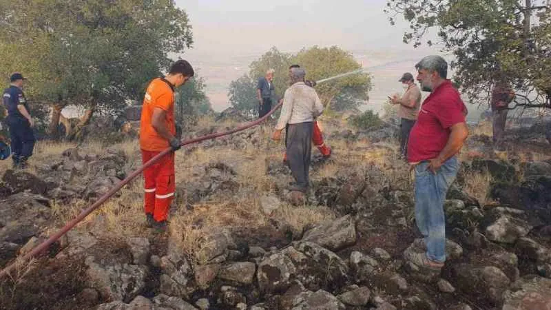 Gaziantep’te düşen yıldırım ormanlık alanı yaktı