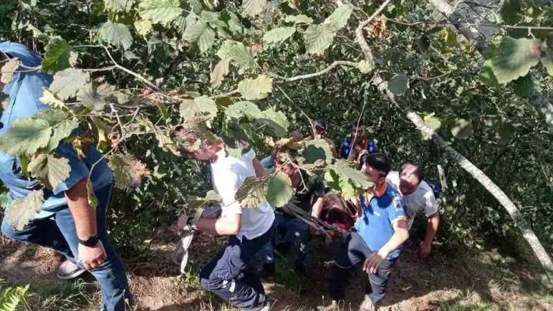 Fındık toplarken 30 metrelik yamaçtan aşağıya yuvarlandı