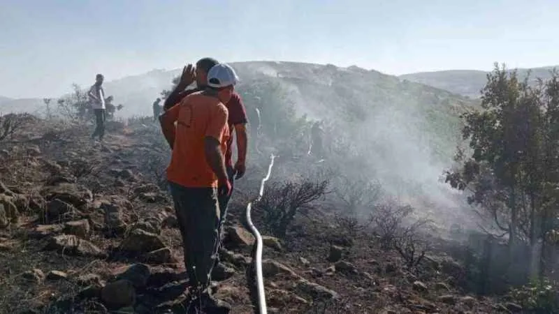Bingöl’deki orman yangını kontrol altına alındı