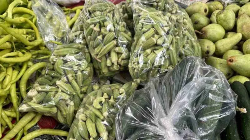 Bamyanın kilosu 100 lira