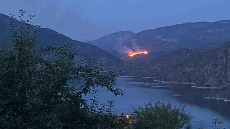 Laçin’de orman yangını