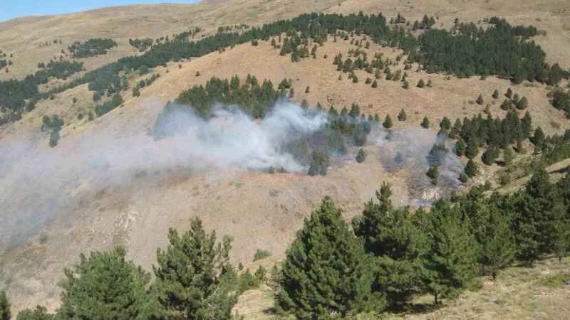 Isparta’da çıkan orman yangını kontrol altına alındı