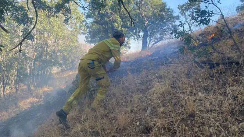 Cudi Dağı’nda çıkan yangın 7 saat sonra kontrol altına alındı