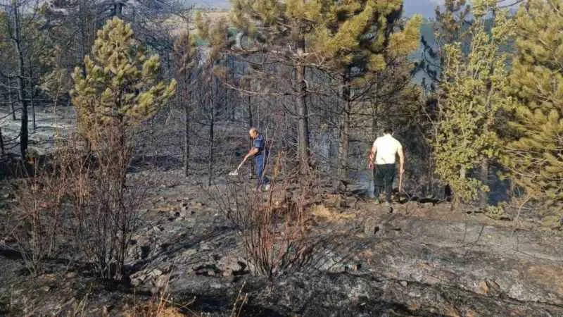 Konya’da orman yangını